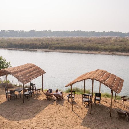 Jungle Wildlife Camp Hotel Sauraha Ngoại thất bức ảnh