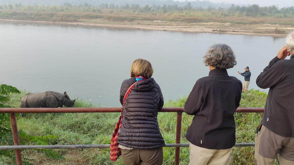 Jungle Wildlife Camp Hotel Sauraha Ngoại thất bức ảnh
