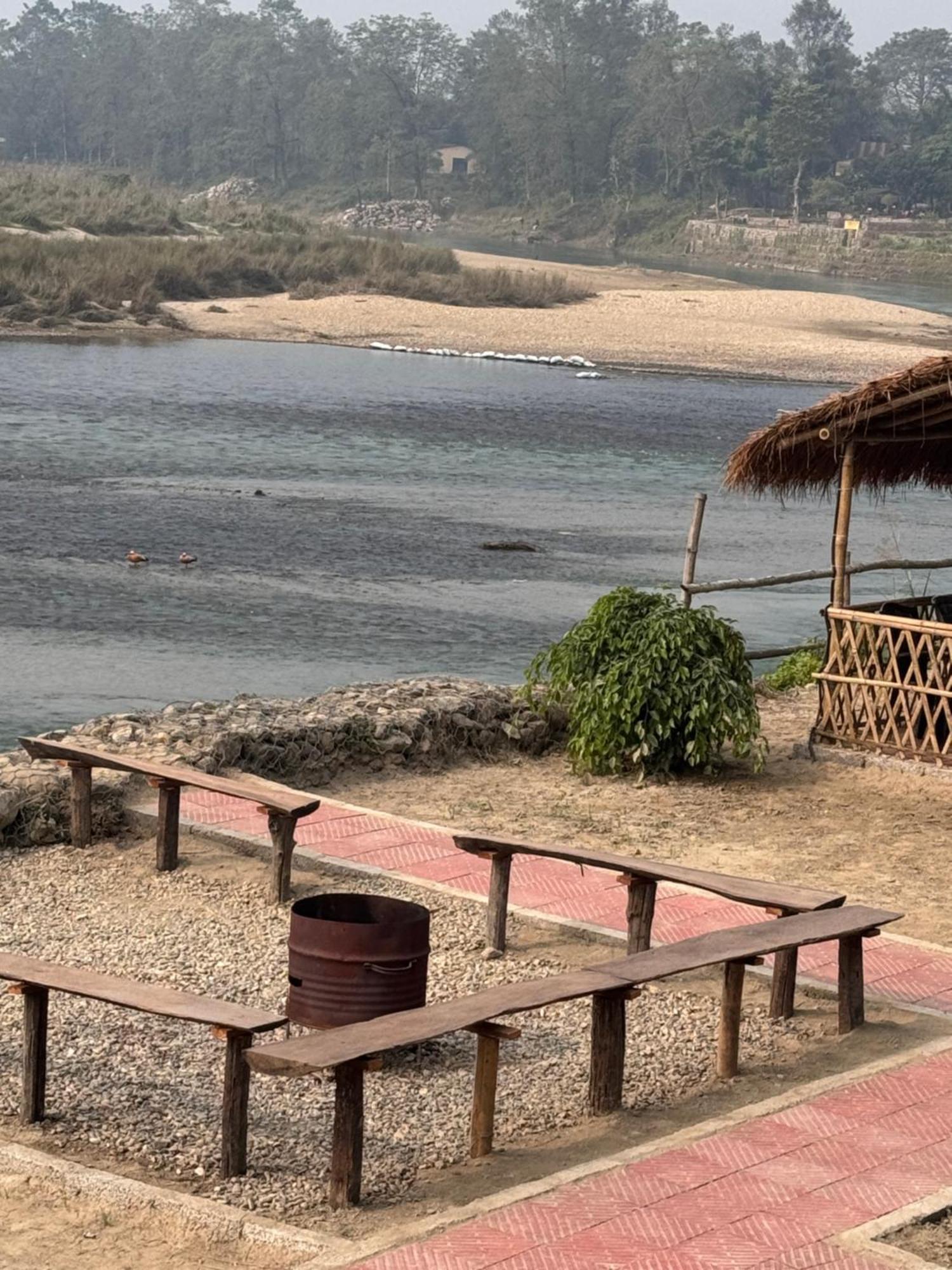 Jungle Wildlife Camp Hotel Sauraha Ngoại thất bức ảnh