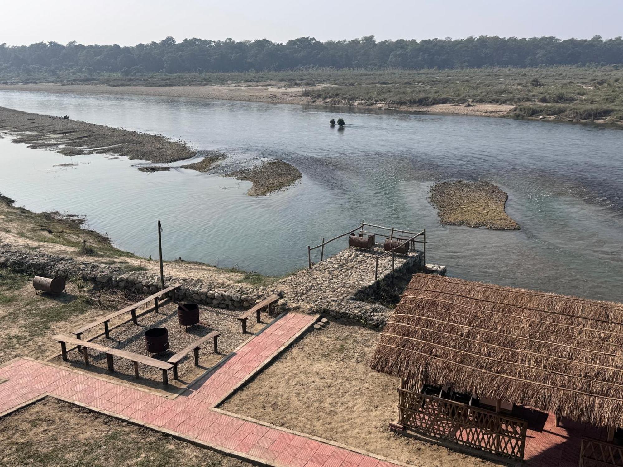 Jungle Wildlife Camp Hotel Sauraha Ngoại thất bức ảnh