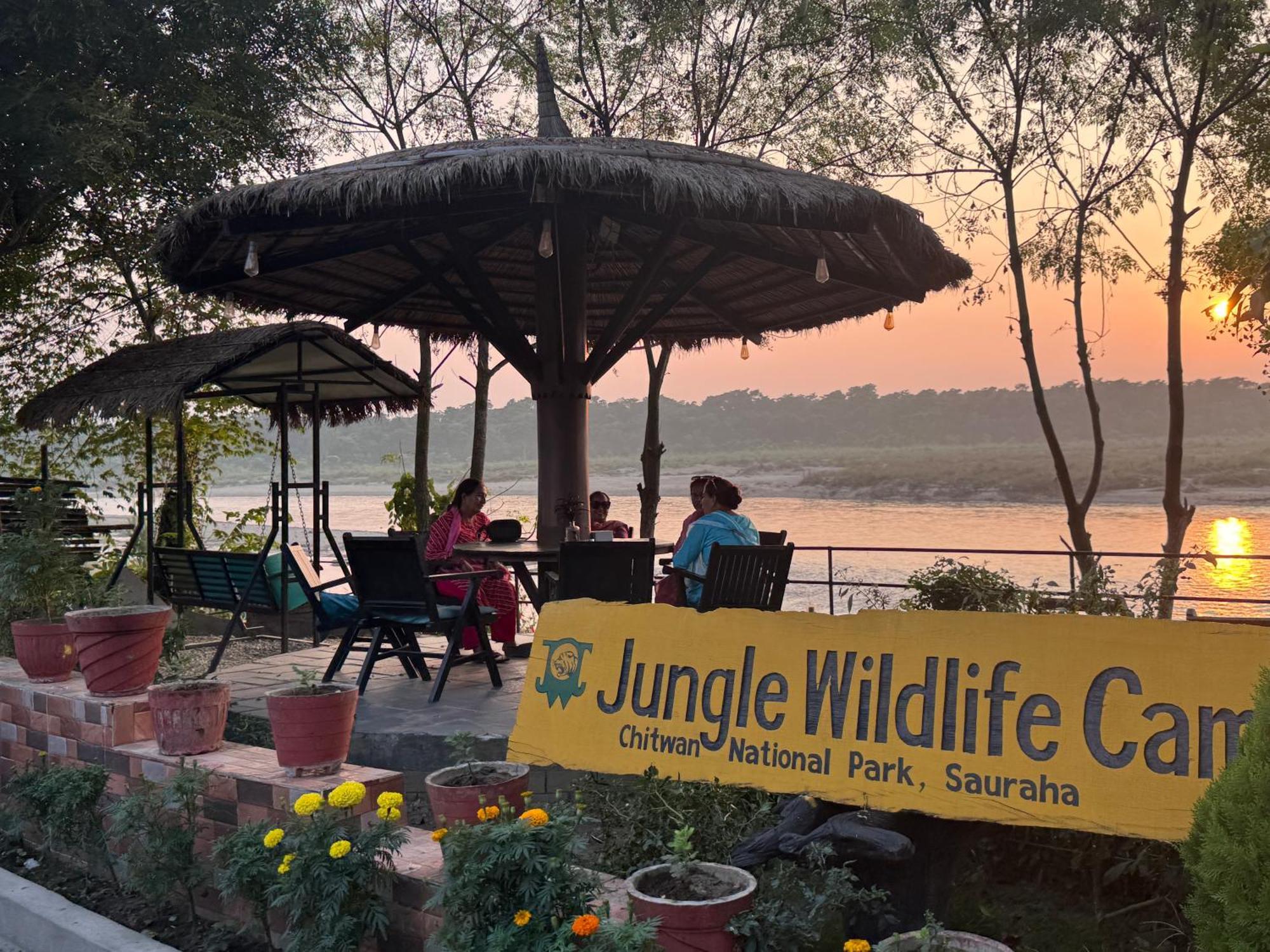 Jungle Wildlife Camp Hotel Sauraha Ngoại thất bức ảnh
