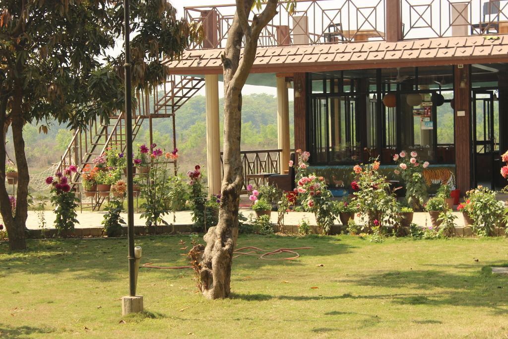 Jungle Wildlife Camp Hotel Sauraha Ngoại thất bức ảnh