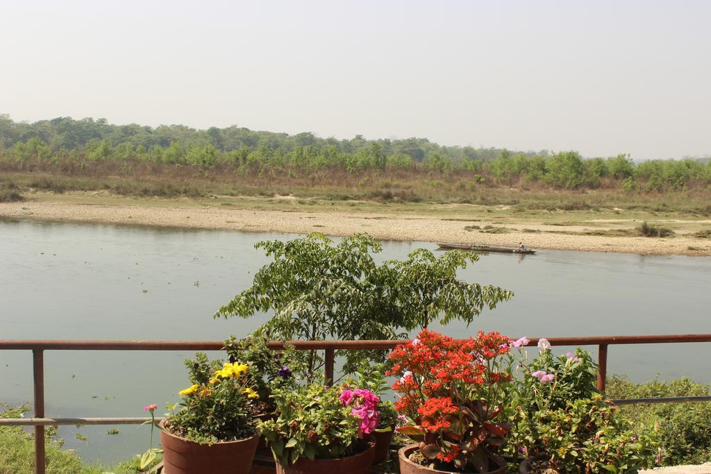 Jungle Wildlife Camp Hotel Sauraha Ngoại thất bức ảnh