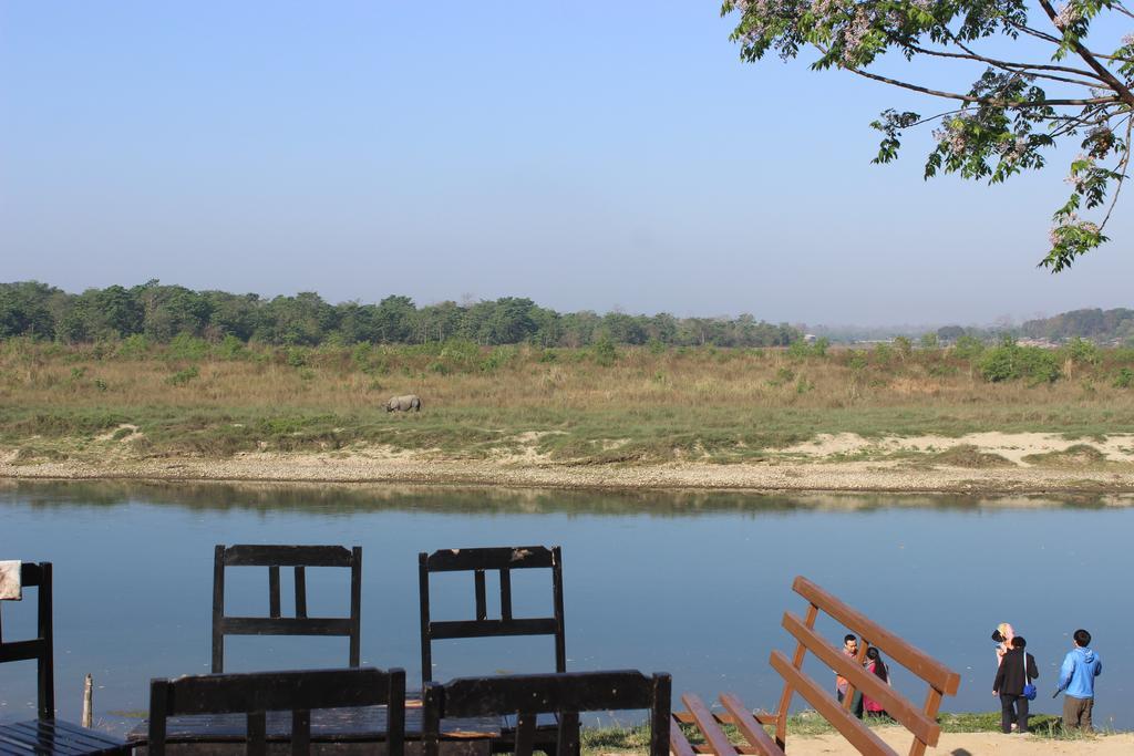 Jungle Wildlife Camp Hotel Sauraha Ngoại thất bức ảnh