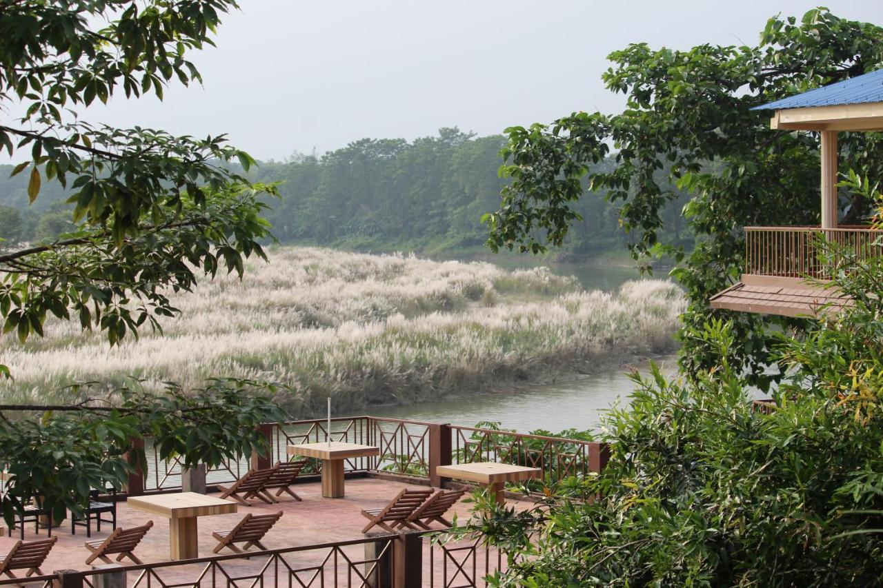 Jungle Wildlife Camp Hotel Sauraha Ngoại thất bức ảnh