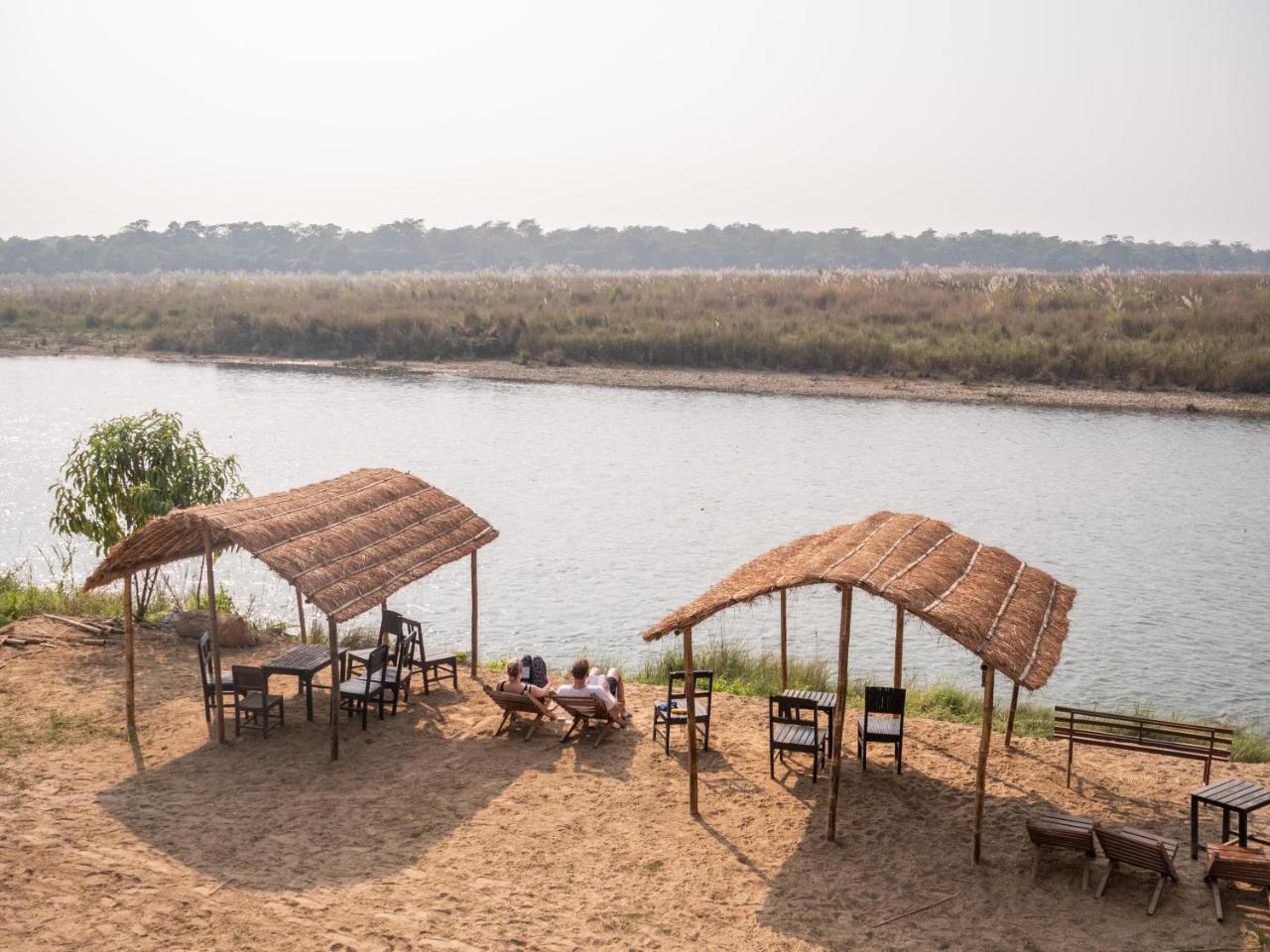 Jungle Wildlife Camp Hotel Sauraha Ngoại thất bức ảnh