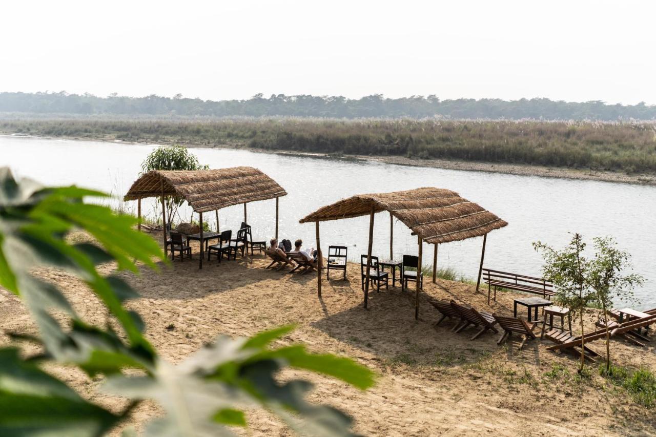 Jungle Wildlife Camp Hotel Sauraha Ngoại thất bức ảnh