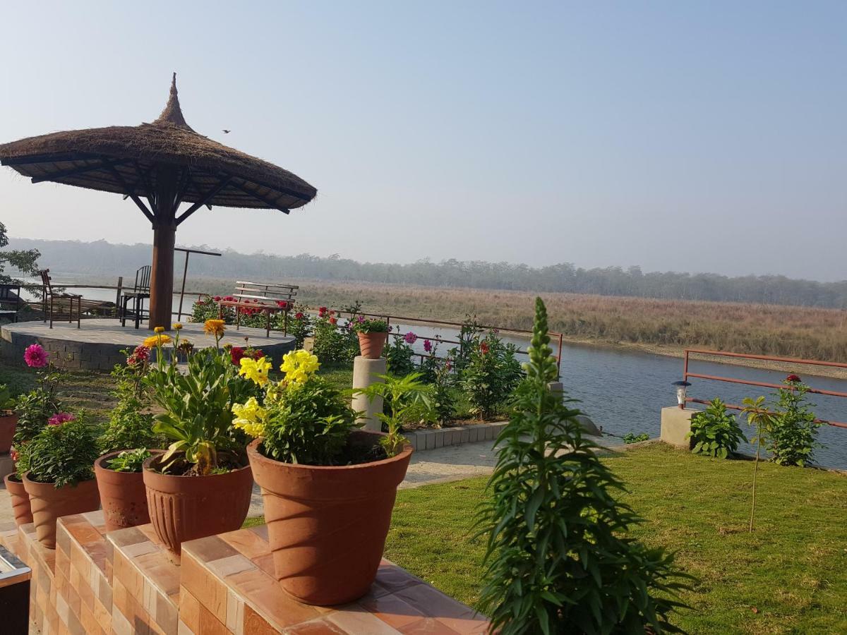 Jungle Wildlife Camp Hotel Sauraha Ngoại thất bức ảnh